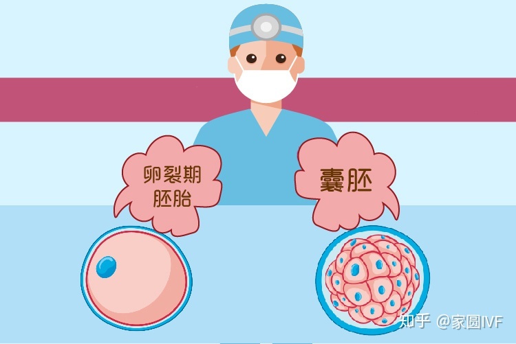 作为去美国做月嫂的条件，去美国生孩子：关于美国农历新年的那些常识性问题你知道吗？
