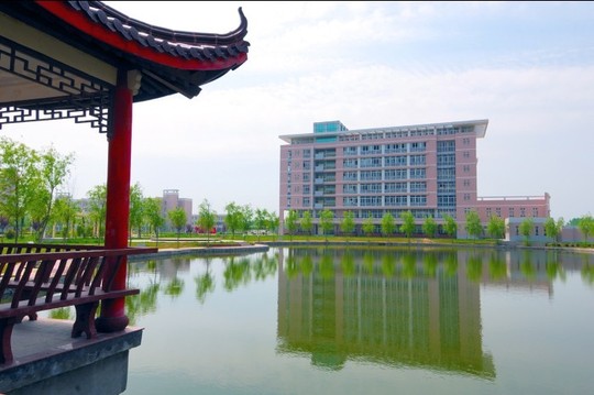 做供卵生子供卵试管怎么省钱(供卵借卵试管供卵省钱攻略)
