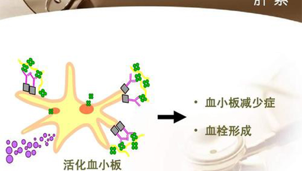 广州省做借卵试管婴儿需多少钱