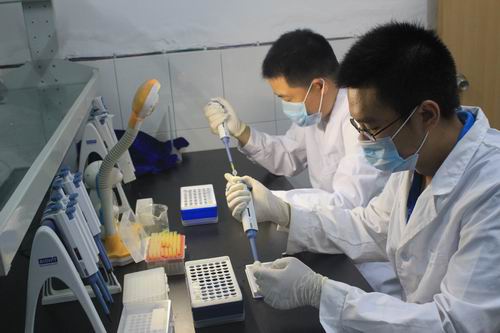高龄女性做试管如何提高卵子质量？做到这五点很重要